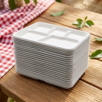 Bandeja Rectangular Desechable Ecológica de 5 Compartimentos, Platos de Bagazo Compostables para Comida, Vajilla para Camping