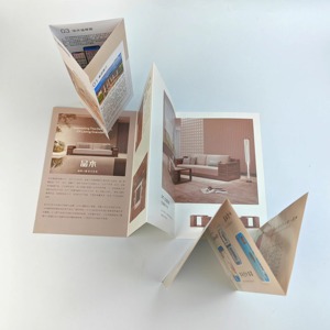 Impression personnalisée à la demande, impression offset, film laminé, brochure tri-pliée/bi-pliée, dépliant, catalogue, menu d'hôtel, salon professionnel - Product Image 2