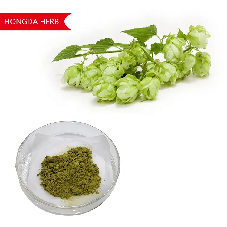 HONGDA-Ratio 10:1 TLC 3% 15% Xanthohumol extracto de flor de lúpulo