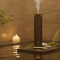 Diffuseur d'arômes sans eau OEM, purificateur d'air, télécommande, 120 ml, réglable, alimentation électrique Type-C, humidificateur