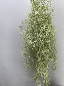 <span class=keywords><strong>GM</strong></span> Live musgo español interior falso colgante suculentas vides artificiales falsas con maceta de decoración verde para arbustos plantas de interior - Product Image 3