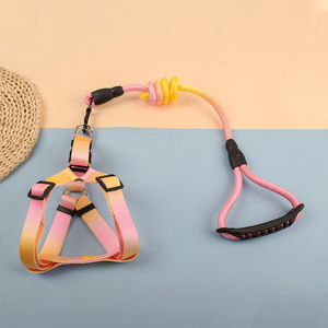 สายจูงสุนัขและสายรัดไนล่อนสีสันสดใสปรับได้พร้อมห่วงรูปตัว D คู่ - Product Image 4