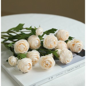 Fleur <span class=keywords><strong>de</strong></span> Renoncule Artificielle Rouge Réaliste Faite à la Main à 3 Têtes pour la Fête des Mères et la Décoration <span class=keywords><strong>de</strong></span> Table <span class=keywords><strong>de</strong></span> Remise <span class=keywords><strong>de</strong></span> Diplôme – Vente en Gros - Product Image 6