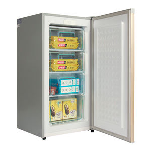 Vente en gros Congélateur vertical électrique 150L Haute qualité Chine BD-150U Capacité 150L Réfrigérateur à porte unique bon marché - Product Image 4