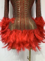 Robe moulante mini en maille ornée de strass et de plumes pour femme, tenue de soirée de luxe pour célébrités, club, fête, boîte de nuit, scène, anniversaire