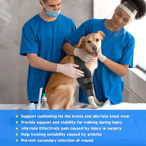 Attelle de genou pour chien pour déchirure du ligament croisé antérieur, pattes arrière, attelle pour pattes arrière de chien, récupération des blessures, manchon de soutien, alternative au bandage, protecteur - Product Image 4