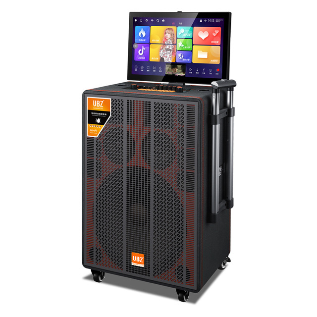 Outdoor Trolley Speaker 500W RGB LED Waterproof Woofer Battery-Powered Square Dance Karaoke System Display Screen 2.0 Channel