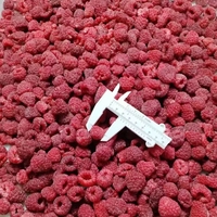 Premium Kwaliteit Iqf Bevroren Frambozen Verse Prijzen Voor Bevroren Fruit