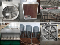 Hangar industriel en acier galvanisé de calibre lourd pour poulets de chair avec panneaux de refroidissement et ventilateurs d'extraction