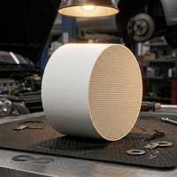 Élément filtrant en céramique alvéolée Cordierite DPF, ajustement universel, garantie 1 an pour le traitement des gaz d'échappement diesel Euro V Euro VI
