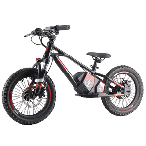 Vélo <span class=keywords><strong>électrique</strong></span> de 12 <span class=keywords><strong>pouces</strong></span> <span class=keywords><strong>16</strong></span> <span class=keywords><strong>pouces</strong></span> pour enfants, vélo d'équilibre <span class=keywords><strong>électrique</strong></span> à moteur sans balais de 350W pour enfants - Product Image 2