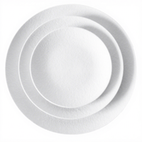 Assiettes de table pour restaurants, service de vaisselle, assiette plate à salade, blanc mat émaillé, 8,25 pouces, assiettes en porcelaine, style chinois traditionnel