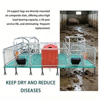 Équipement d'élevage porcin : Lit de maternité européen pour truies, lit de mise bas double, incubateur pour porcelets / Cages de mise bas pour porcherie