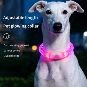 ปลอกคอสุนัขเรืองแสง LED ชาร์จ USB-C ปรับขนาดได้ ปลอกคอเพื่อความปลอดภัยยามค่ำคืนสำหรับสุนัขพันธุ์เล็กและใหญ่ - Product Image 4