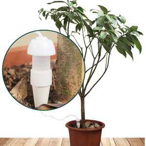 Piquets d'<span class=keywords><strong>arrosage</strong></span> des plantes dispositifs automatiques Irrigation goutte à goutte des plantes à libération lente pointes d'eau intérieures et extérieures pour plantes en pot - Product Image 2