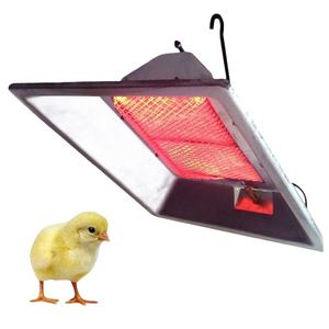 Incubadora Catalítica Infrarroja y Máquina Integrada de Eclosión para Gallinero con Tecnología Avanzada - Product Image 1