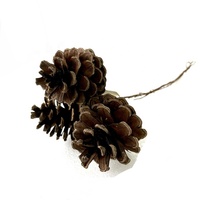 Großhandel DIY Home Decoration Naturholz Tannenzapfen hängen Baum Gold Silber getrocknete Blumen Pflanzen Schöne Abschluss feier