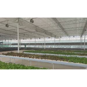 Système <span class=keywords><strong>de</strong></span> culture hydroponique complet et économique en seau - Product Image 6