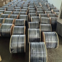 Câble de branchement FTTH pré-connecté pour extérieur, 1F, 50, 100, 200, 300 mètres, 2 fibres, monomode G657A1 G657A2, cordon de raccordement