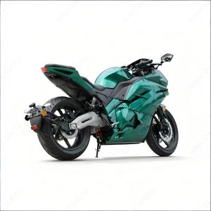 Moto électrique tout-terrain approuvée EEC COC avec moteur à chaîne moyenne 5000w avec prix d'usine - Product Image 6