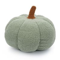 Coussins citrouille en sherpa douillets pour la décoration de la maison et du salon, collection automne, vente chaude directe usine