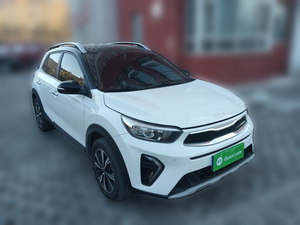   Auto Usate Stonic Sotto i 3 Anni da Fornitori Verificati Stonic KX1 dalla Cina - Product Image 3