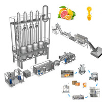 Automatische industriële sinaasappelpersmachine van roestvrij staal, grote capaciteit, citrus- en citroensapverwerkingslijn