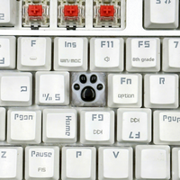 Capuchons de touches en forme de patte de chat, en silicone souple, rétroéclairés, transparents, remplacement universel pour axe MX, pour clavier de jeu mécanique