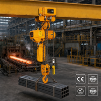 Palans électriques pour la manutention de matériaux en entrepôt et les applications de grues dans les usines