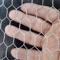 Filet de grillage hexagonal galvanisé plongé chaud de torsion normale de poulailler 1/2 "3/4" 1 "fabrication de grillage hexagonale de torsion inverse enduite par PVC