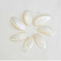 30 Coquilles d'ormeaux argentées - De 1,6 à 2,4 pouces - Idéales pour la décoration de plage côtière - Décoration de maison de plage