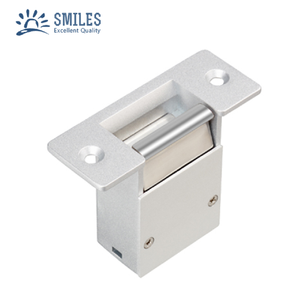 Serrure de porte électrique de type européen avec <span class=keywords><strong>force</strong></span> de maintien sans clé de 500KG - Product Image 3