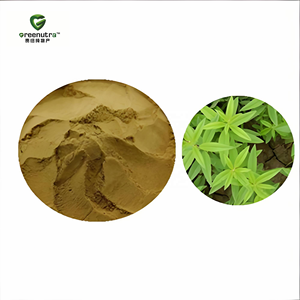 Extracto de <span class=keywords><strong>Verbena</strong></span> en Polvo, Extracto de <span class=keywords><strong>Verbena</strong></span> <span class=keywords><strong>Officinalis</strong></span>, Extracto de <span class=keywords><strong>Verbena</strong></span> Limón para Suplementos - Product Image 2