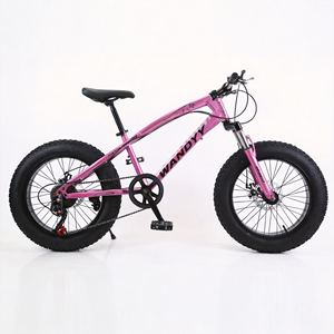 Bicicleta de Montaña WANDYY con Llantas Gruesas de 20, 24 y 26 Pulgadas, Bicicleta para Nieve y Playa 4.0 - Product Image 3