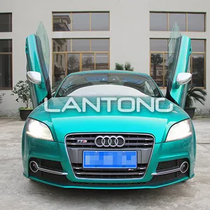 Auto Styling Lantong Mode Lambo Schaar Deur Voor Audi Tt