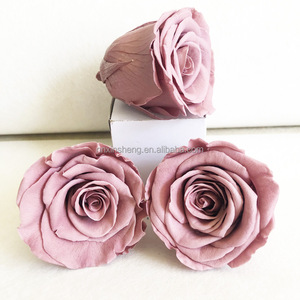 Éternel Enchanté Infini Éternité Éternel Pour Toujours Éternel Préservé Rose Tête 6 Préservé Rose Tête Réel 5cm - Product Image 1