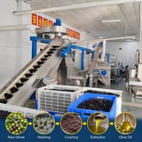 Volledig automatische avocado-olie extractie- en raffinageproductielijn, machines voor de verwerking van ruwe avocado-olie