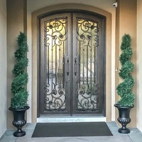 Porte extérieure à double battant pré-montée en fer forgé, porte d'entrée extérieure en fibre de verre, porte d'entrée principale de luxe moderne en verre et acier CN;FUJ