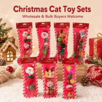 Ensemble de jouets interactifs pour chat de Noël : baguette de jeu et jouets en plastique, coffret cadeau pour chats d'intérieur