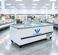 Congélateur horizontal commercial en acier inoxydable, grande capacité, pour supermarché, aliments surgelés