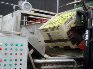 צריף פירות תעשייתי 1210h810a 1200x1000x810 hdpe/pp מתלה קל חובת קריסת מיכל 4000 ק "ג קיבולת - Product Image 5