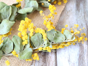 Flores amarillas <span class=keywords><strong>de</strong></span> secado al aire Natural, ramas secas <span class=keywords><strong>de</strong></span> <span class=keywords><strong>Acacia</strong></span>, <span class=keywords><strong>flor</strong></span> <span class=keywords><strong>de</strong></span> <span class=keywords><strong>Acacia</strong></span> seca - Product Image 6