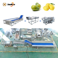 Aanpasbare capaciteit appelborstelreinigingsmachine avocado fruit- en groentewasser fruitwasmachine verwerkingslijn