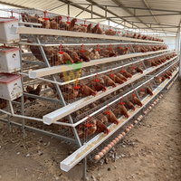 Cage à poules pondeuses de type A, ensemble complet équipé d'un abreuvoir et d'un mangeoire, manuel d'utilisation inclus