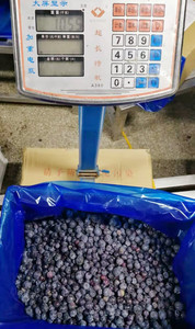 Importation de bleuets surgelés en vrac <span class=keywords><strong>Myrtilles</strong></span> <span class=keywords><strong>surgelées</strong></span> <span class=keywords><strong>Myrtilles</strong></span> <span class=keywords><strong>sauvages</strong></span> <span class=keywords><strong>surgelées</strong></span> pour confiture de jus de gros - Product Image 5
