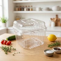 Boîte de conservation jetable en PET de haute qualité pour aliments, sandwichs, sushis, salades, avec design rectangulaire, vente en gros, utilisation pour le pain et le sucre