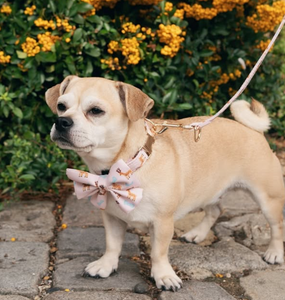 बड़े कुत्तों और बिल्लियों के लिए थोक अनुकूलित चिंतनशील प्रिंट प्रशिक्षण कॉलर पट्टा हार्नेस सेट - Product Image 5