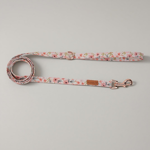 Correa de perro cómoda de algodón con estampado de moda personalizado, estampado de estilo moderno de lujo, moda duradera al por mayor, OEM y ODM - Product Image 1