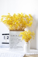 Fabrieksgroothandel Ge conserveerde Gypsophila Baby's Breath Eeuwigdurende - Hoge Kwaliteit Bloemmaterialen 120g/Pak Bulk Leverancier Bruiloft/Bureau