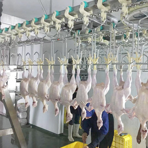 Máquina de equipos de sacrificio de la línea de procesamiento de aves de corral matadero de <span class=keywords><strong>pollos</strong></span> de engorde pequeña planta de Halal pollo sacrificio - Product Image 1